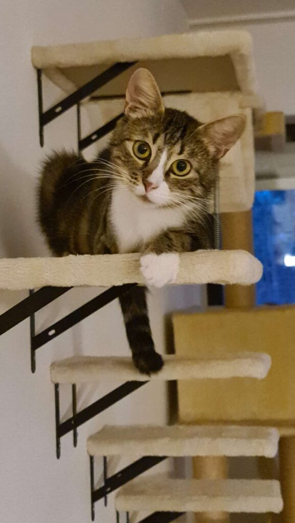 Luna braucht Verständnis